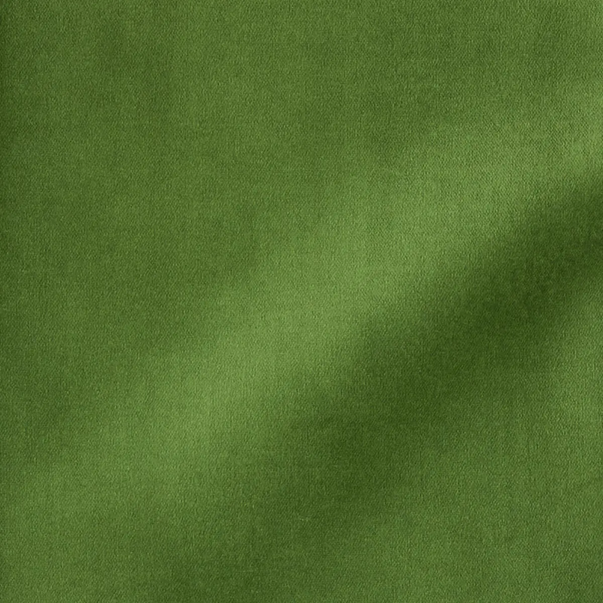 ROCKY PERFORMANCE VELVET_ LEAF