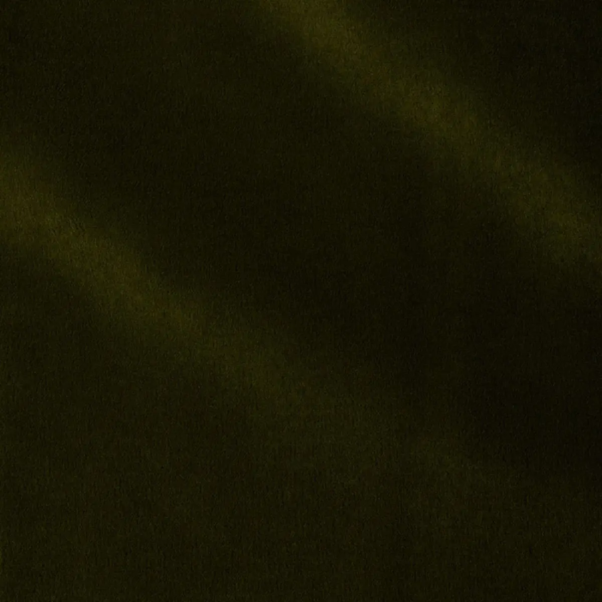 ROCKY PERFORMANCE VELVET_ MOSS