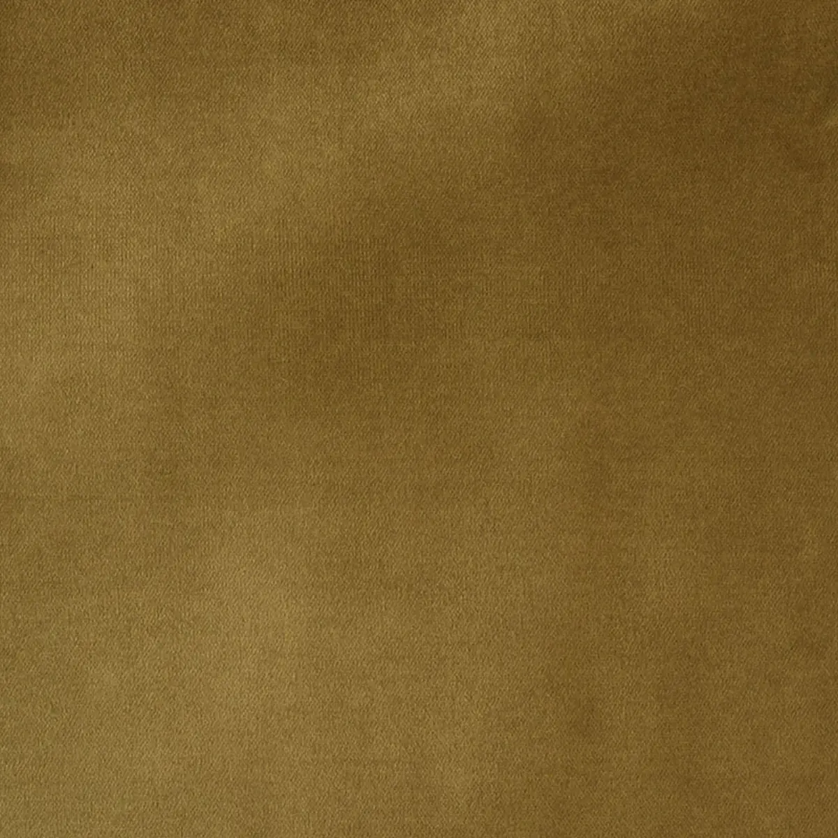 ROCKY PERFORMANCE VELVET_ WHEAT