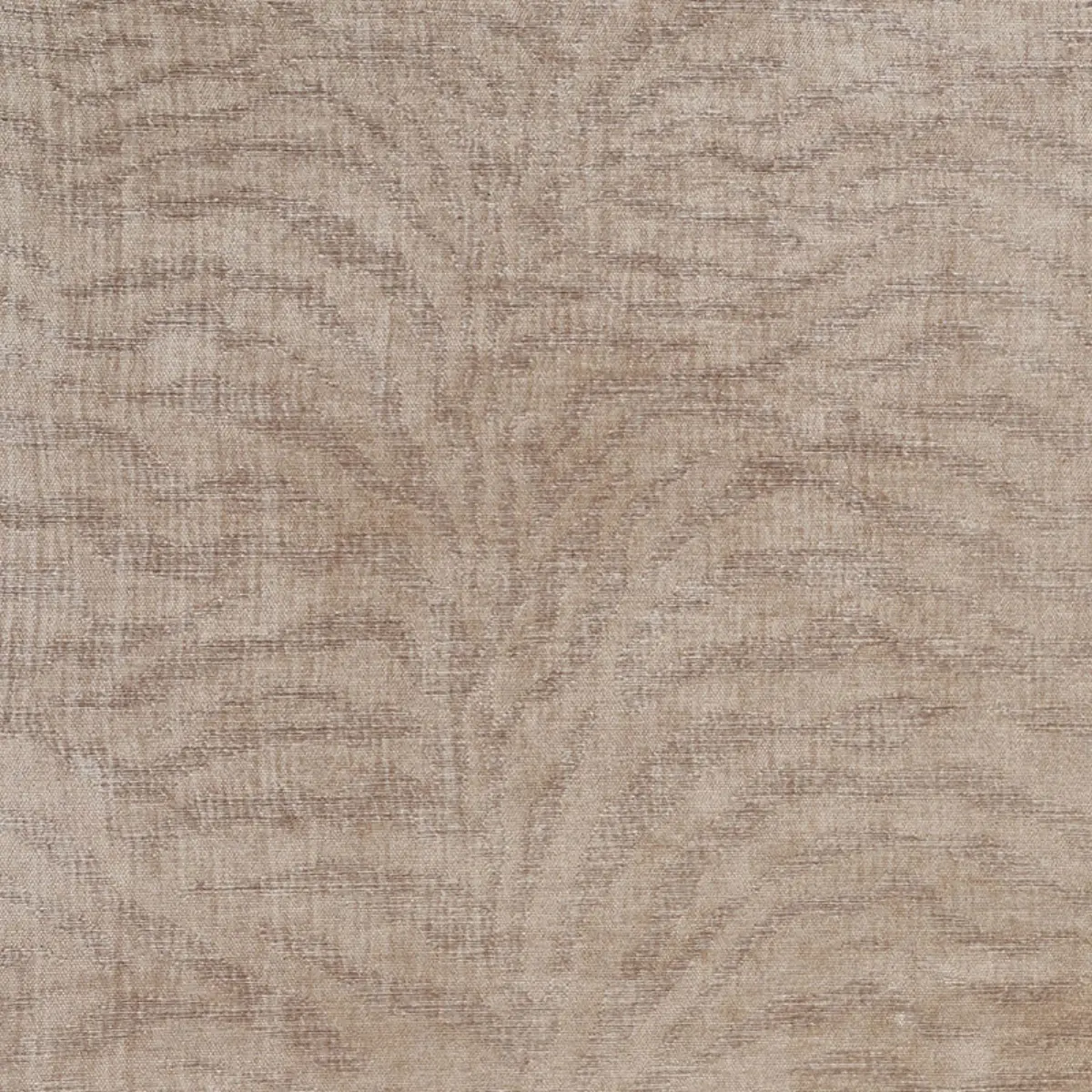 TIGER CHENILLE_ GREIGE