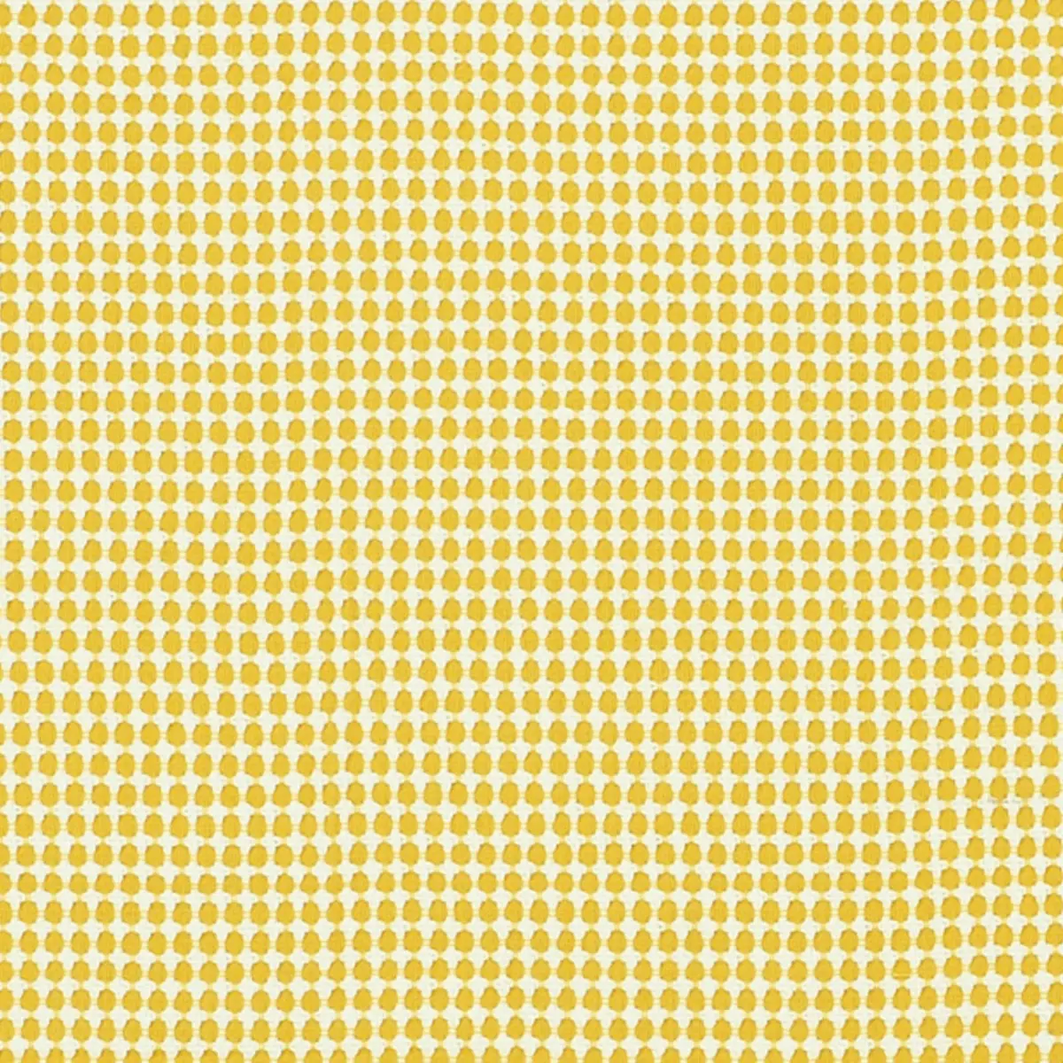 ZIPSTER_ YELLOW
