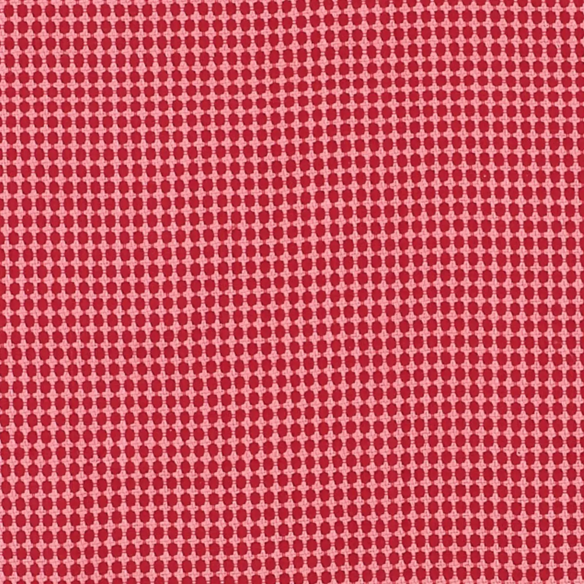 ZIPSTER_ RED & PINK