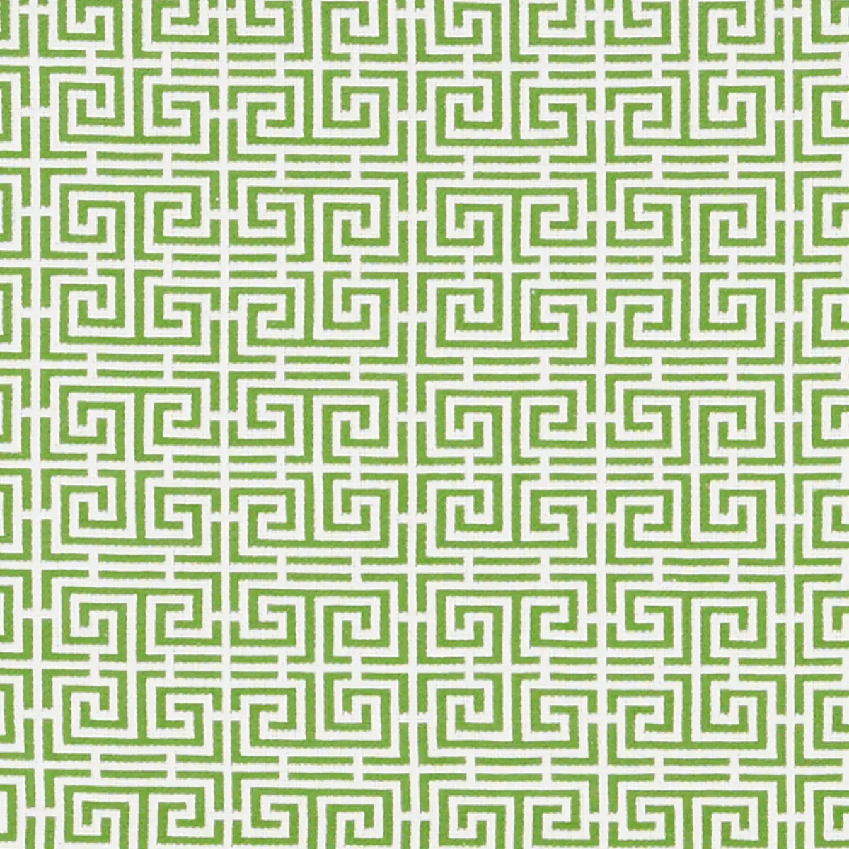 CHINOIS FRET_ GREEN/WHITE