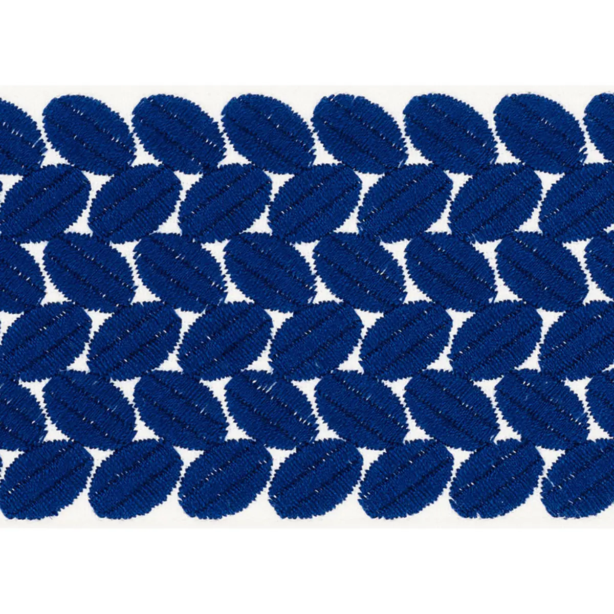 BERKELEY TAPE WIDE_ BLUE