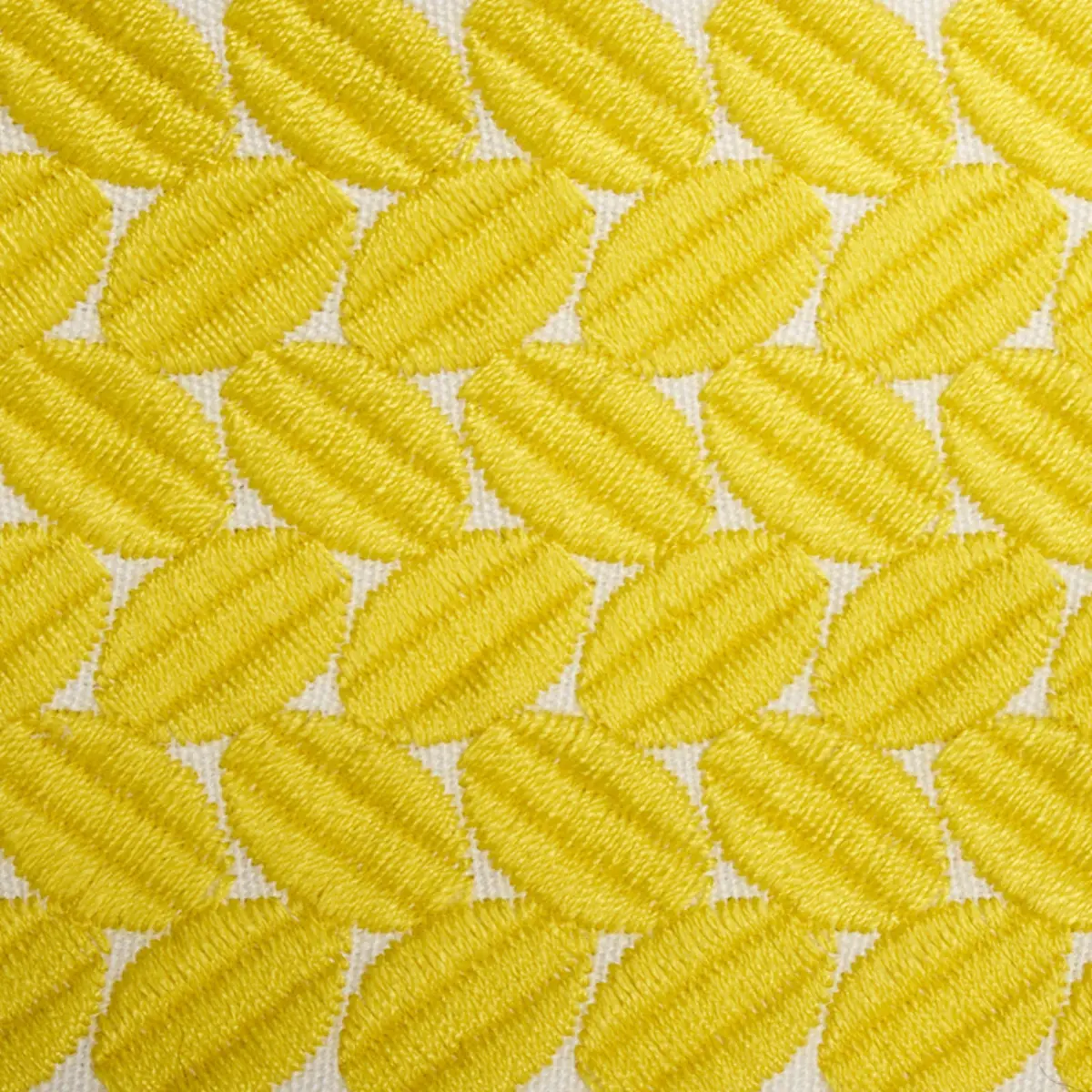 BERKELEY TAPE WIDE_ YELLOW