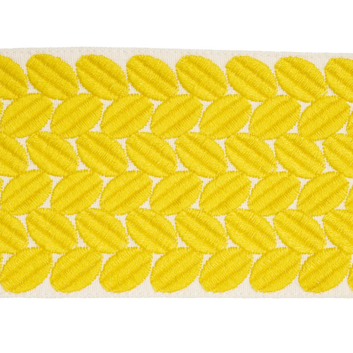 BERKELEY TAPE WIDE_ YELLOW
