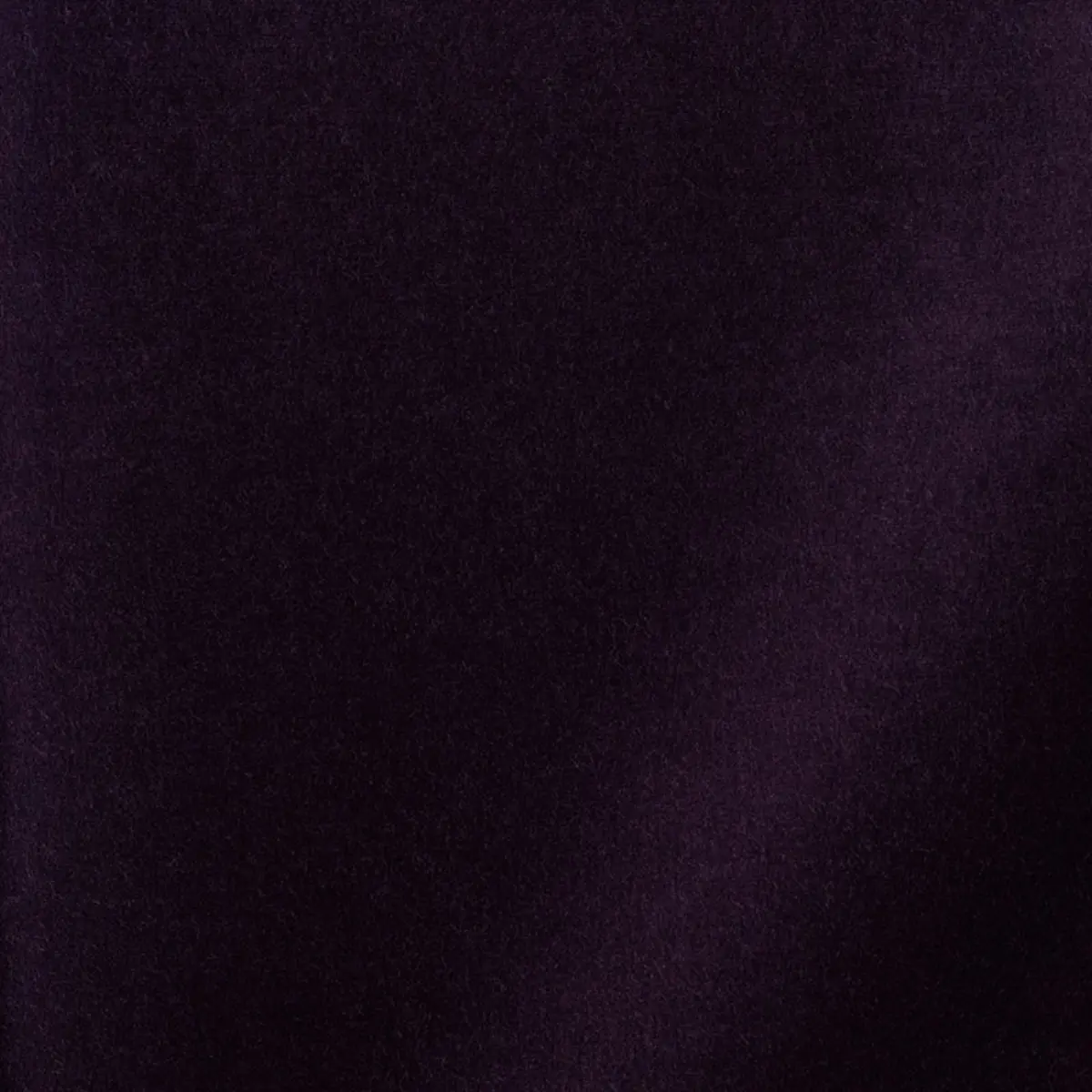 ROCKY PERFORMANCE VELVET_ AUBERGINE
