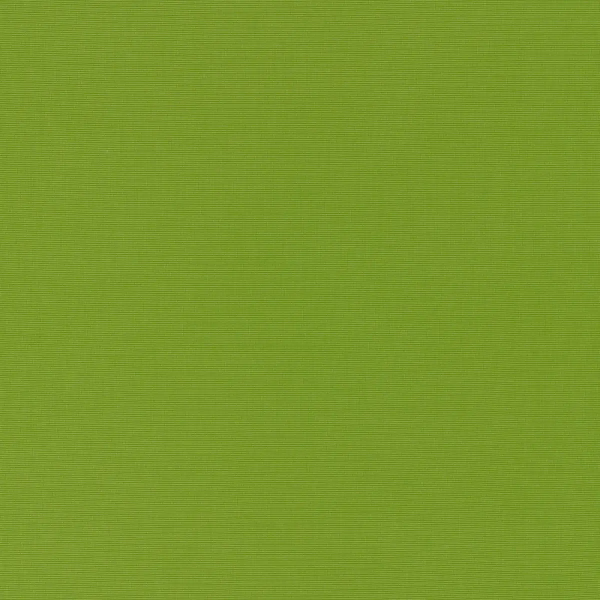 ALASSIO INDOOR/OUTDOOR_ LIME