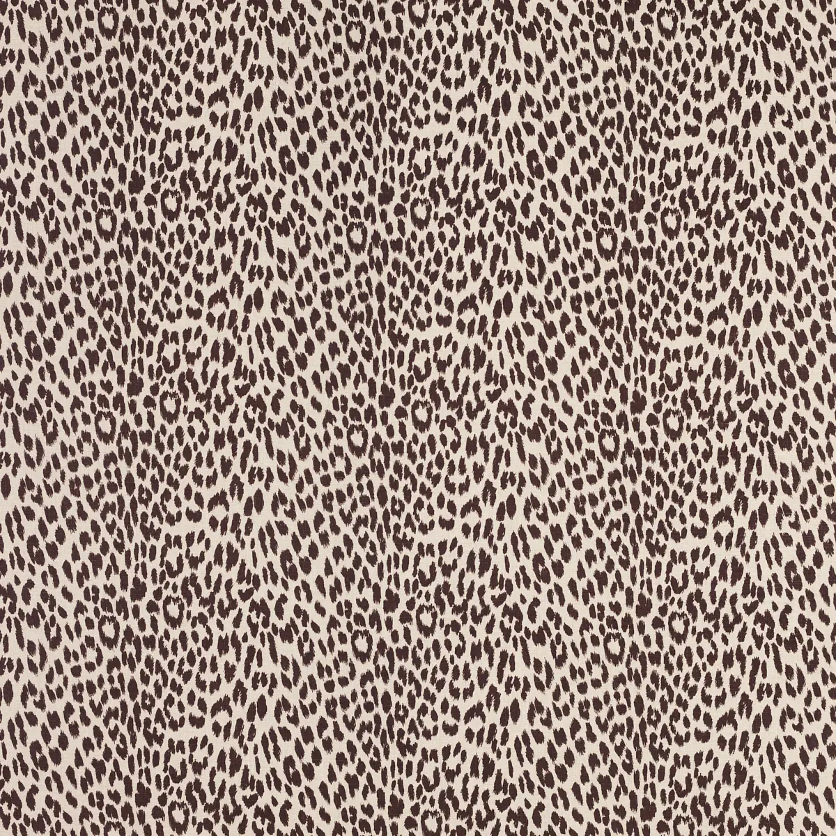Leopard By Raoul_ MOLE