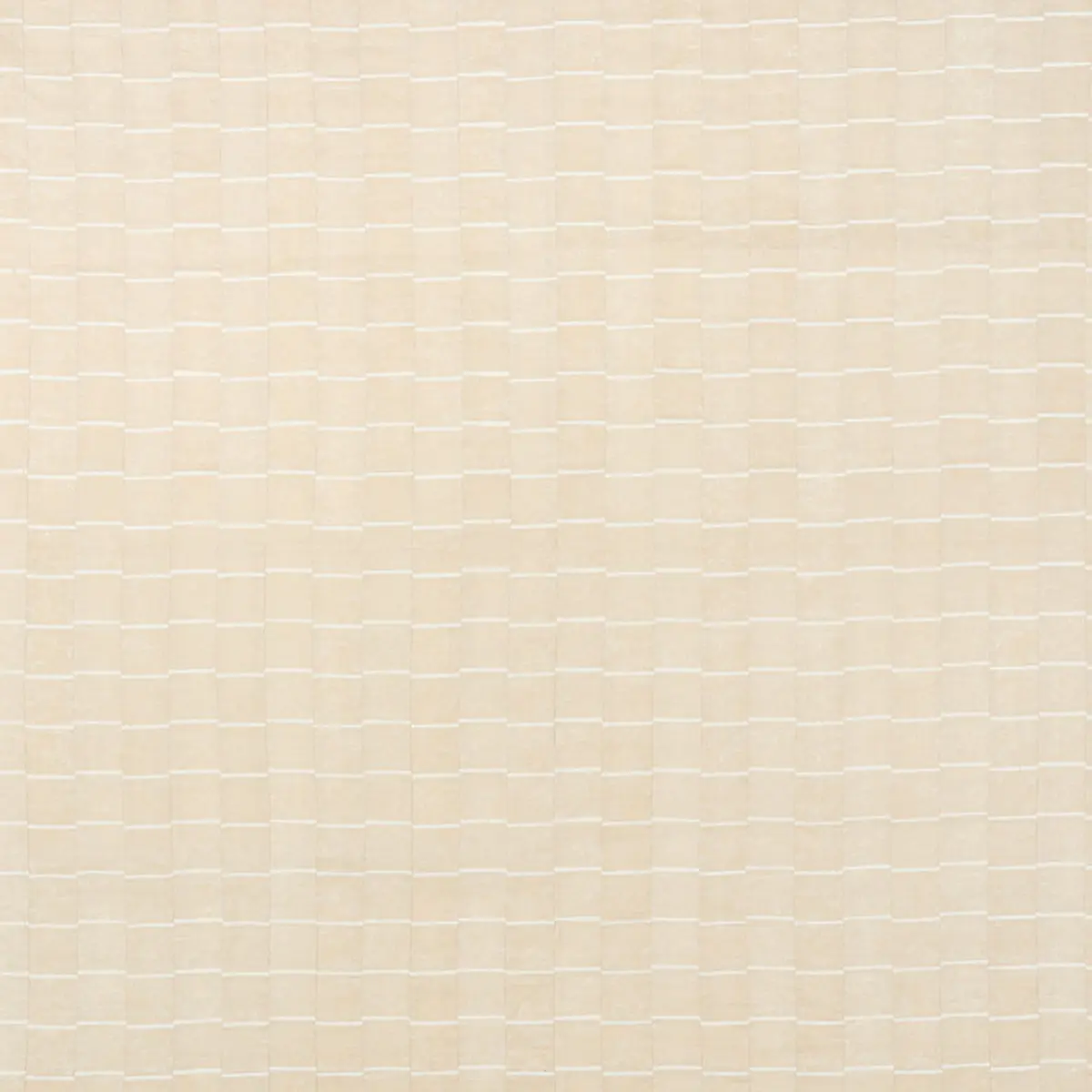 LINES_ IVORY