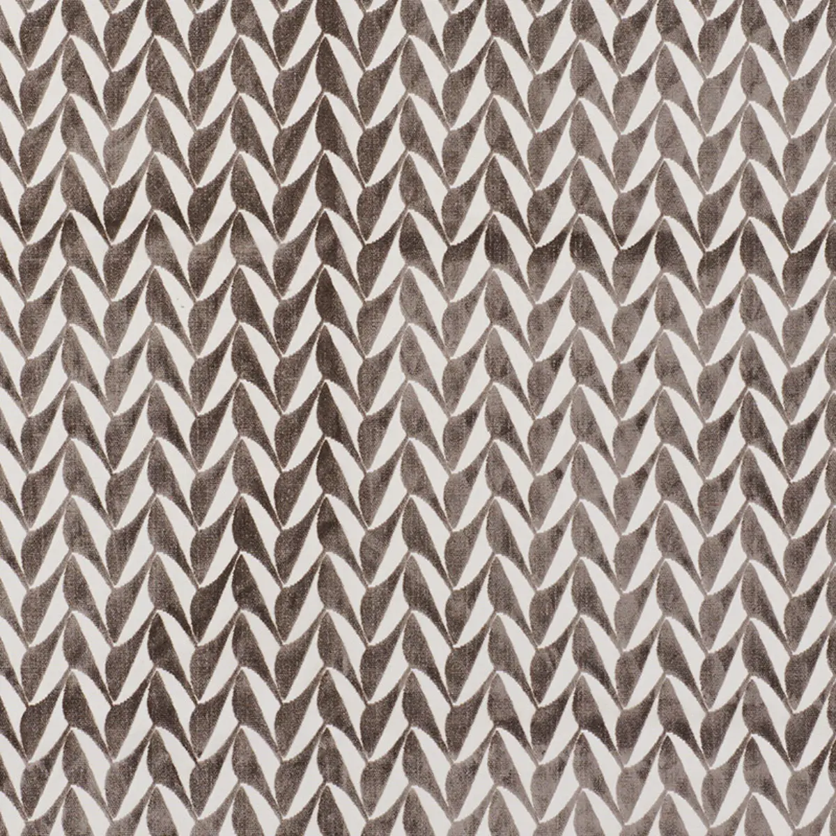 SPADES_ TAUPE