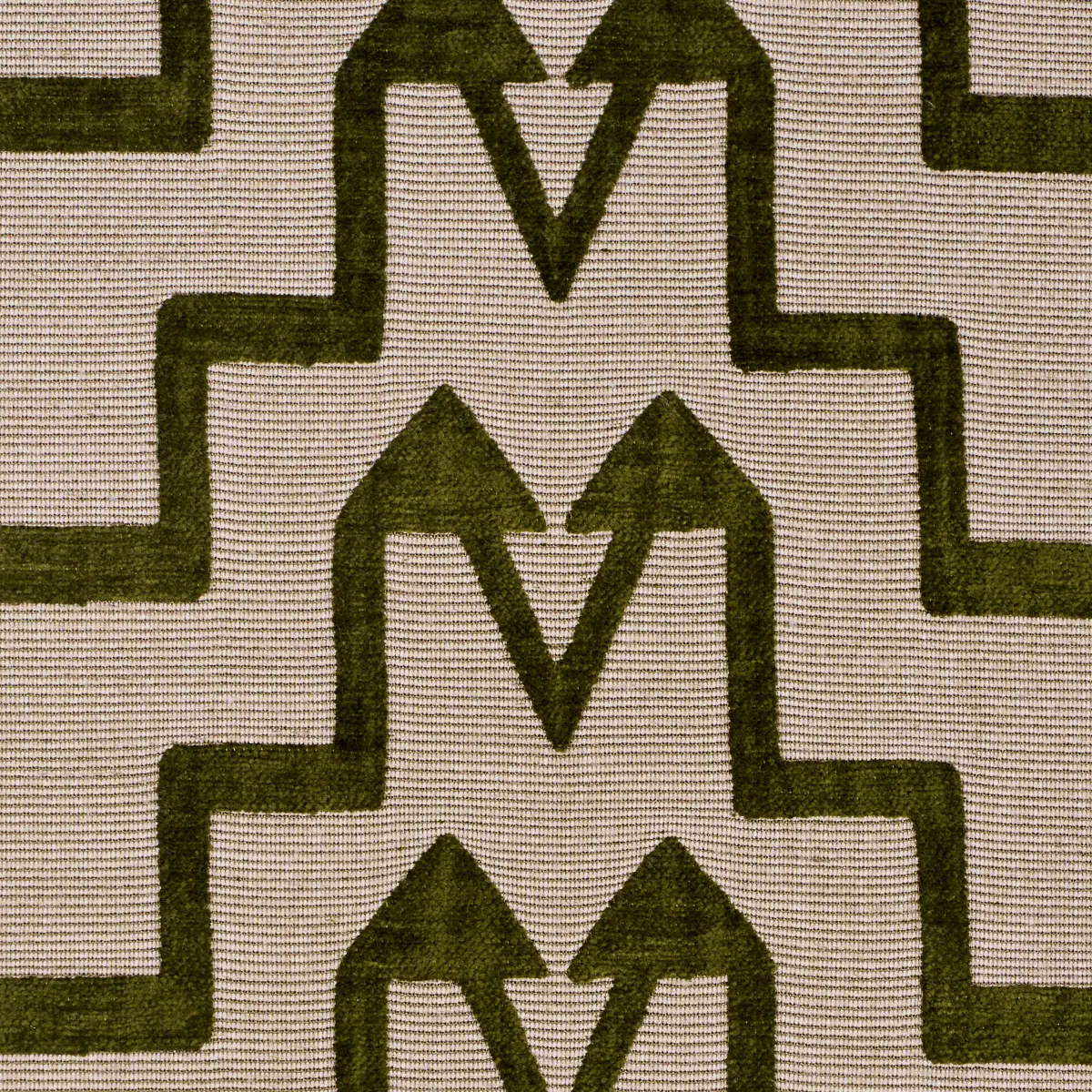 TURKISH STEP_ OLIVE