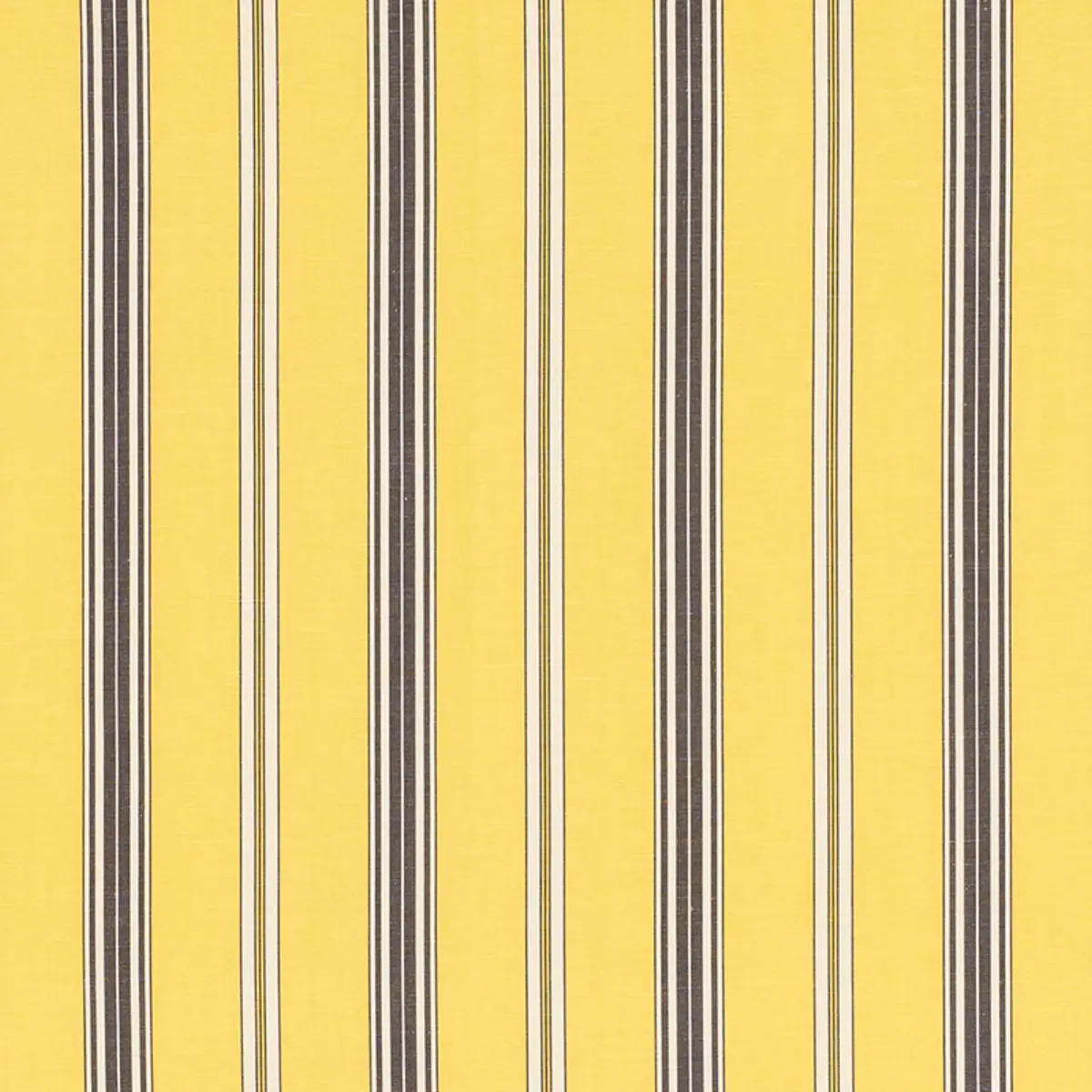 COCO STRIPE_ YELLOW