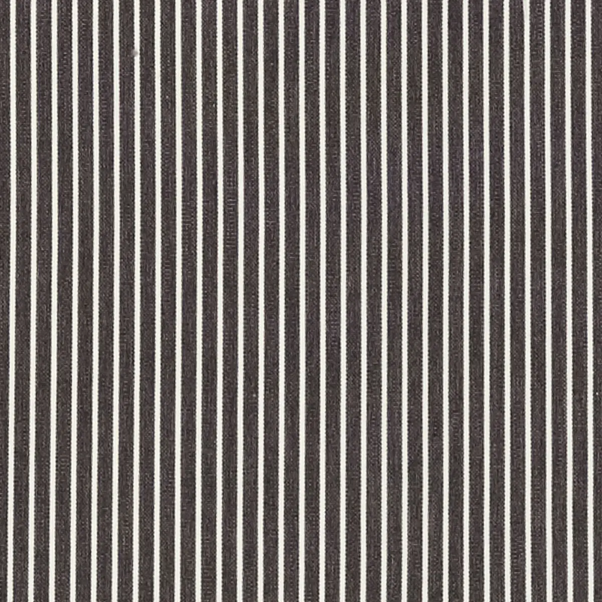 EDIE STRIPE_ BLACK