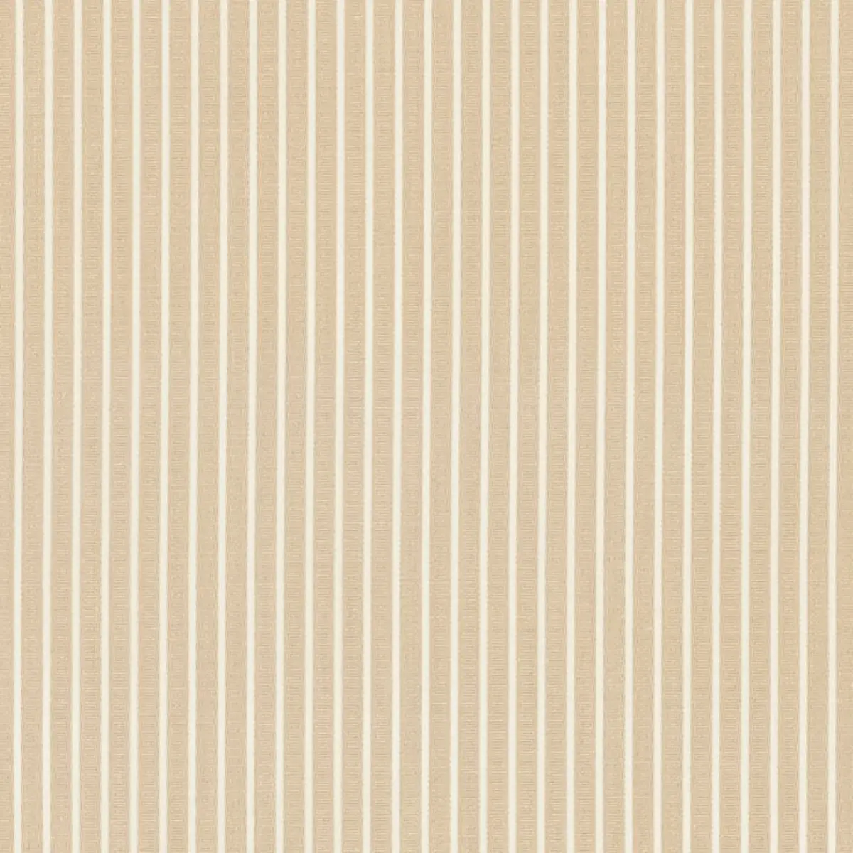 EDIE STRIPE_ SAND
