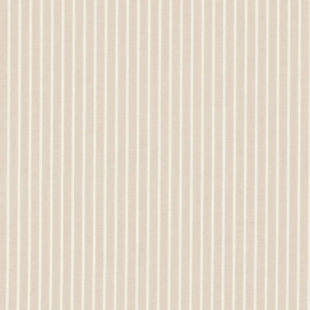 EDIE STRIPE_ TAUPE