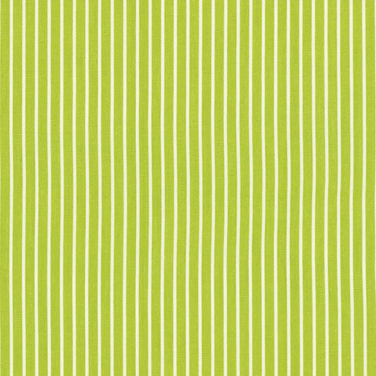 EDIE STRIPE_ GREEN