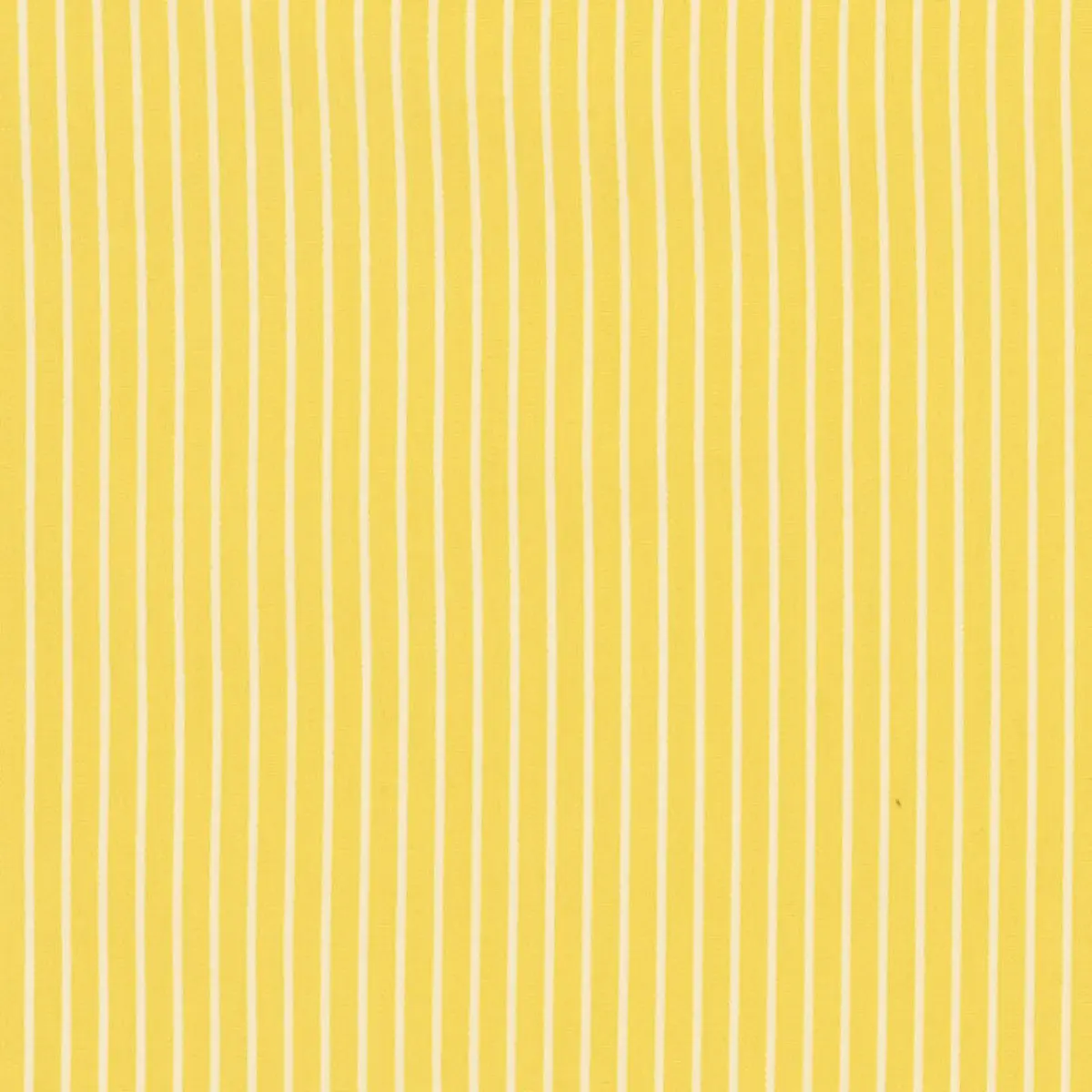 EDIE STRIPE_ YELLOW