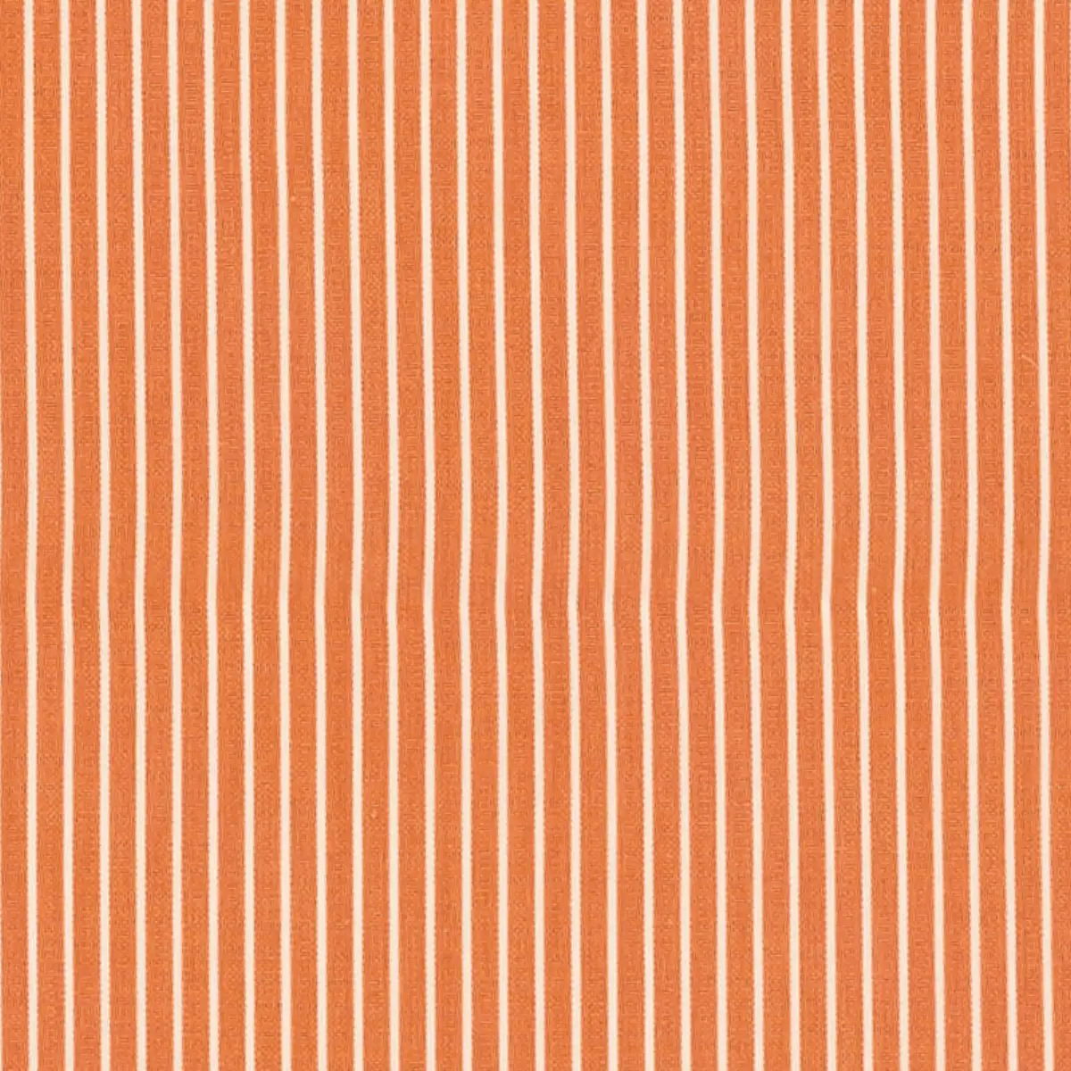 EDIE STRIPE_ ORANGE