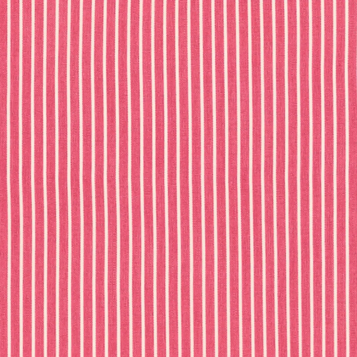 EDIE STRIPE_ PINK