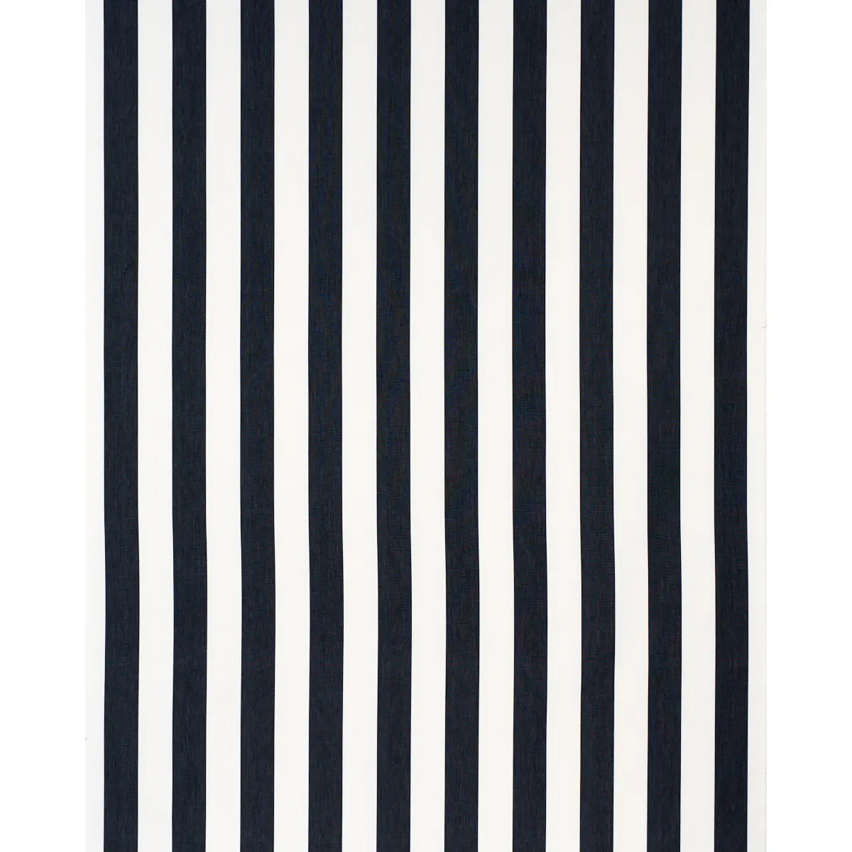 ANDY STRIPE_ BLACK