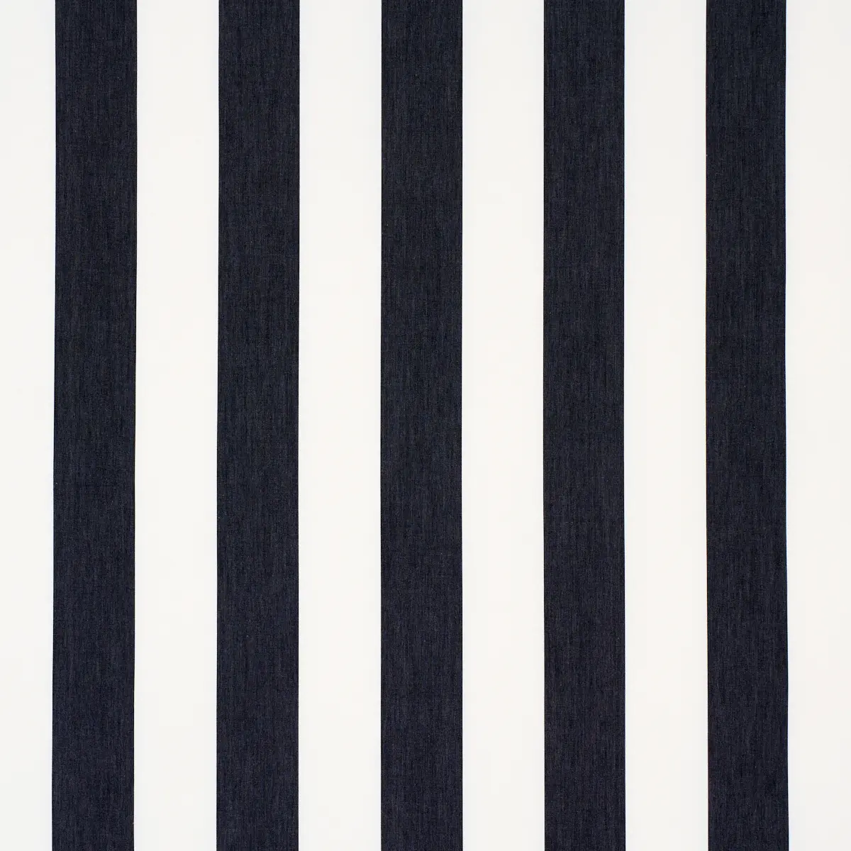 ANDY STRIPE_ BLACK