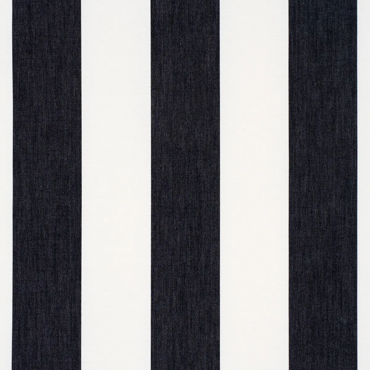ANDY STRIPE_ BLACK
