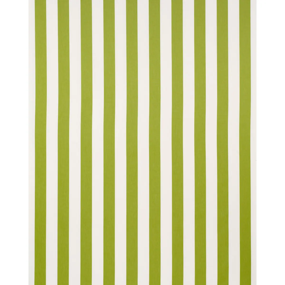 ANDY STRIPE_ GREEN