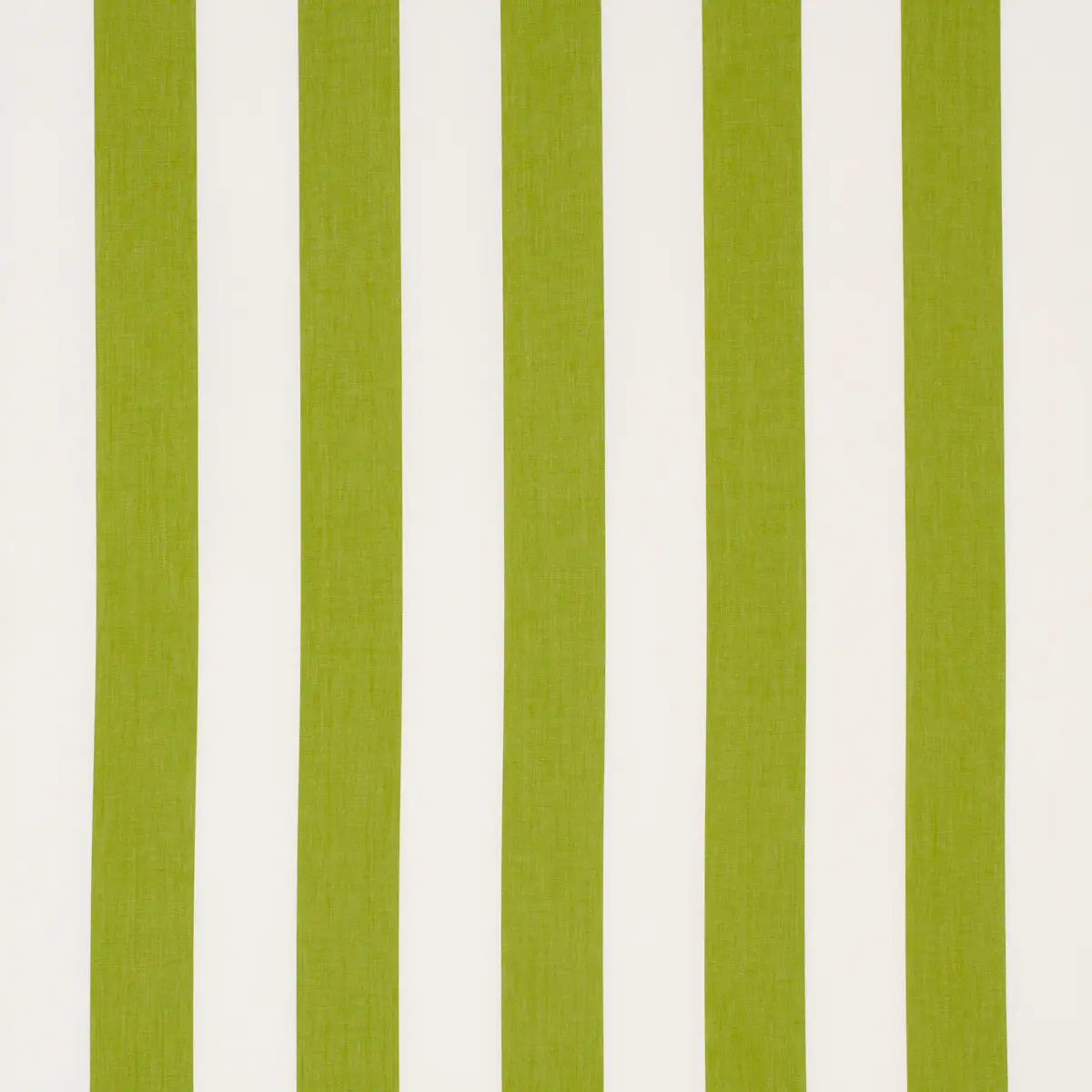 ANDY STRIPE_ GREEN
