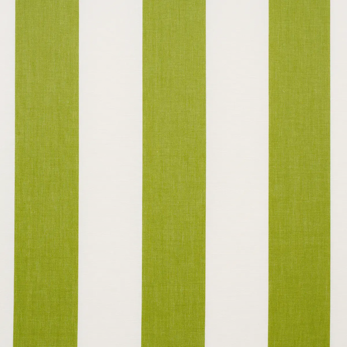 ANDY STRIPE_ GREEN