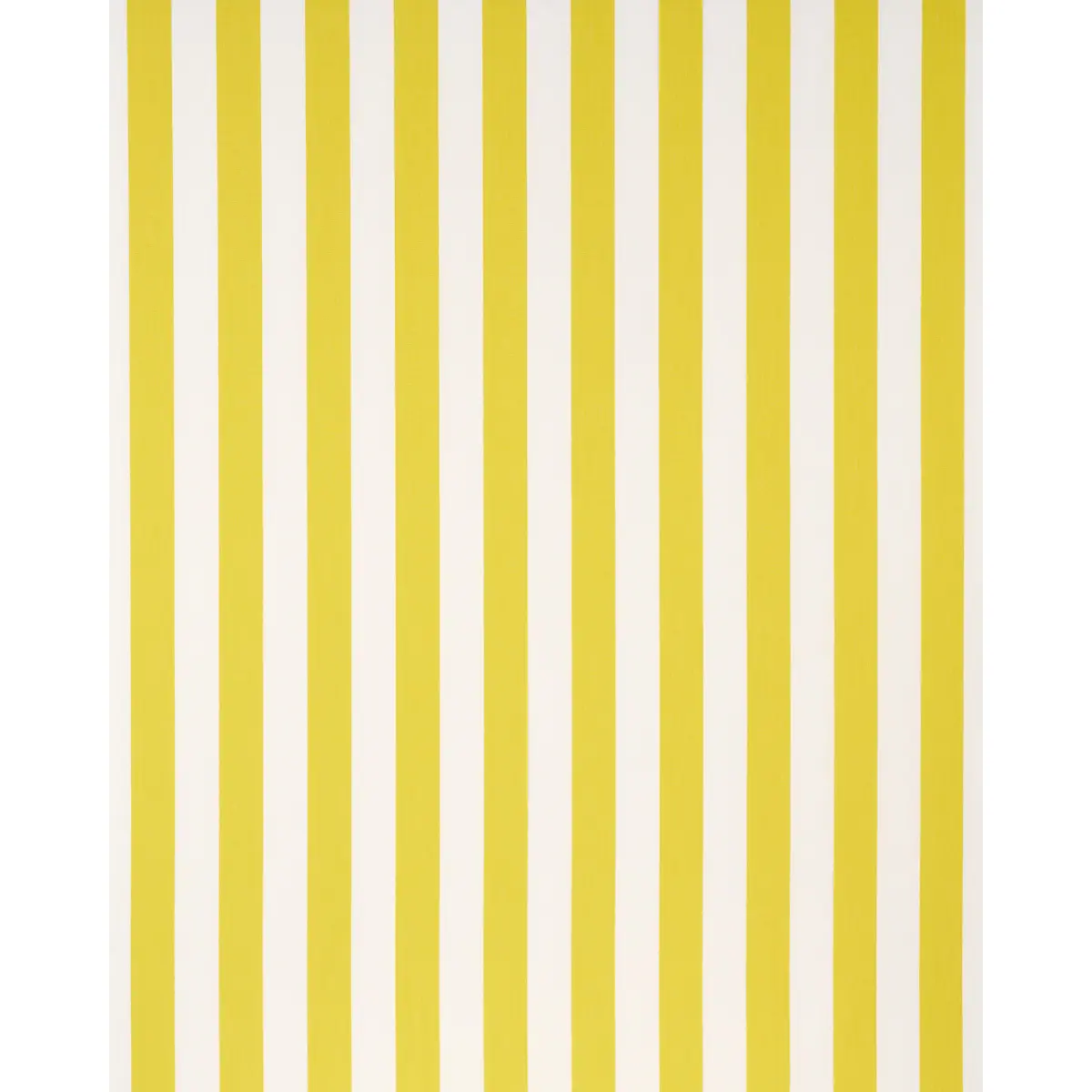 ANDY STRIPE_ YELLOW