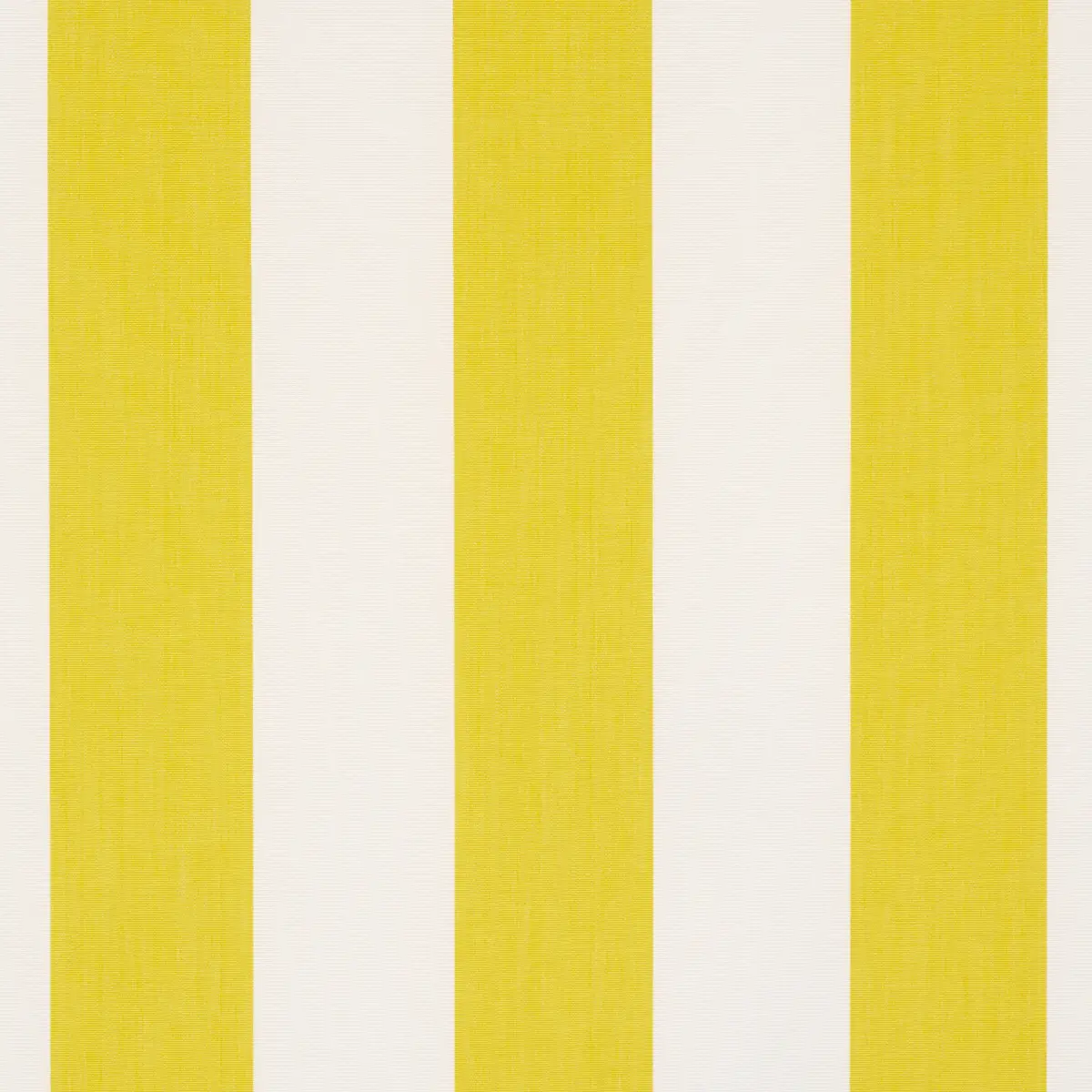 ANDY STRIPE_ YELLOW