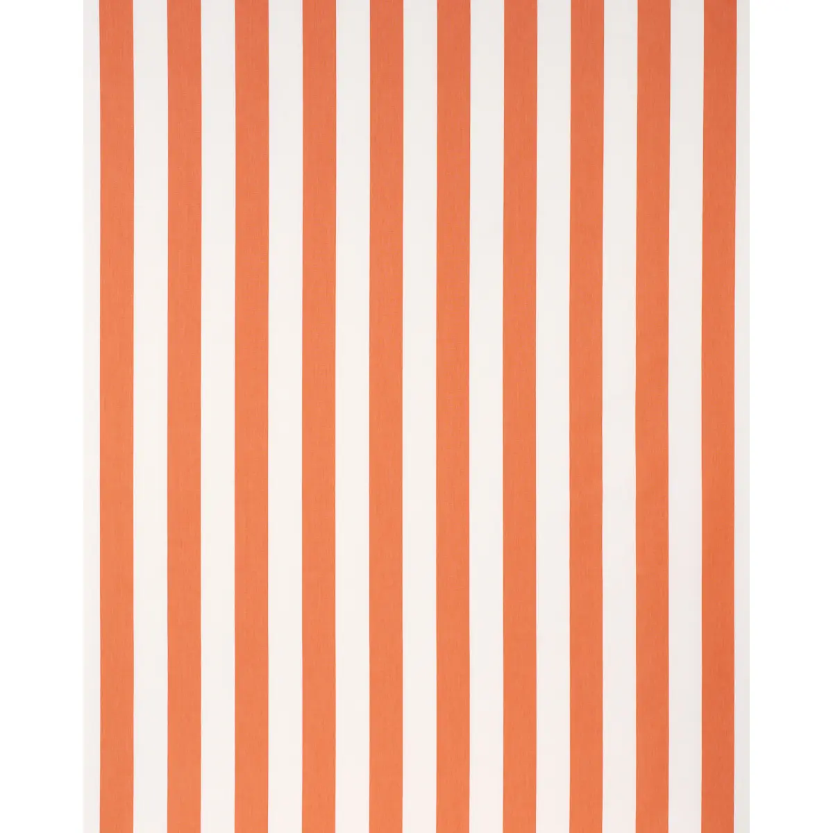 ANDY STRIPE_ ORANGE