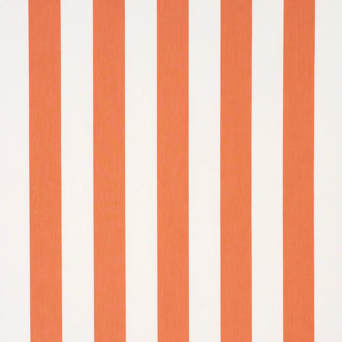 ANDY STRIPE_ ORANGE