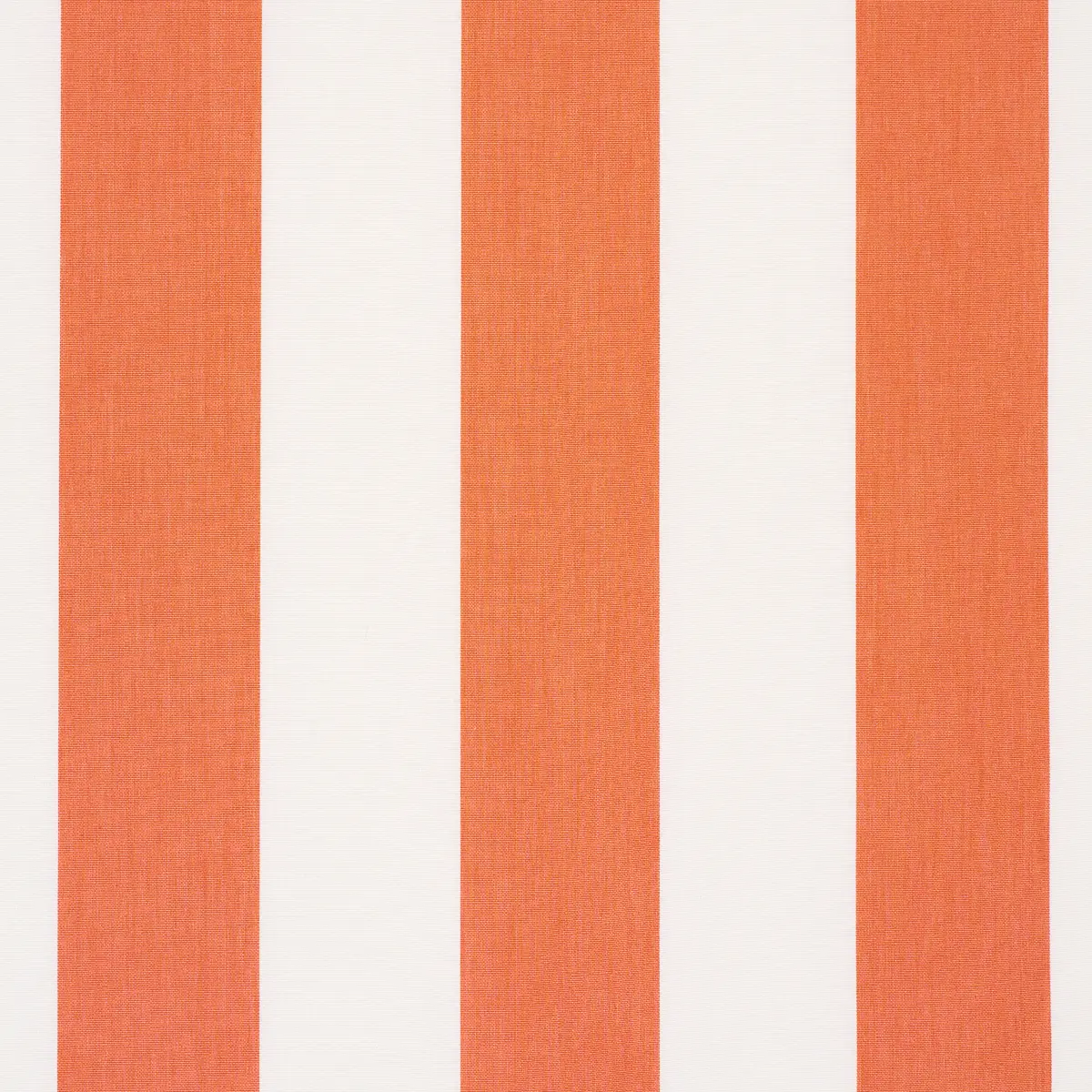 ANDY STRIPE_ ORANGE