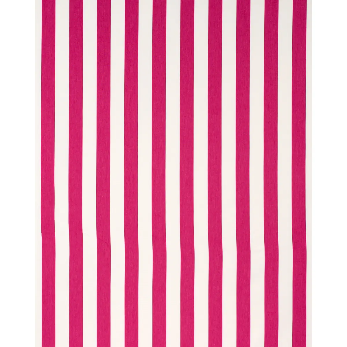 ANDY STRIPE_ PINK