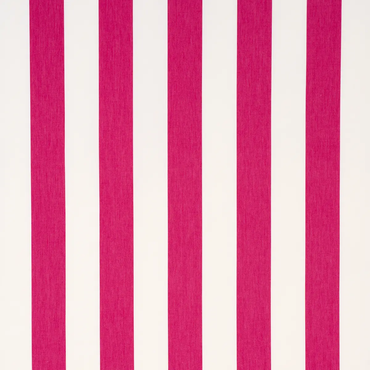 ANDY STRIPE_ PINK
