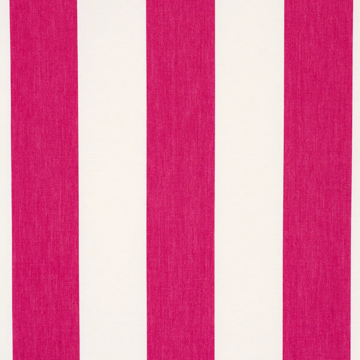 ANDY STRIPE_ PINK