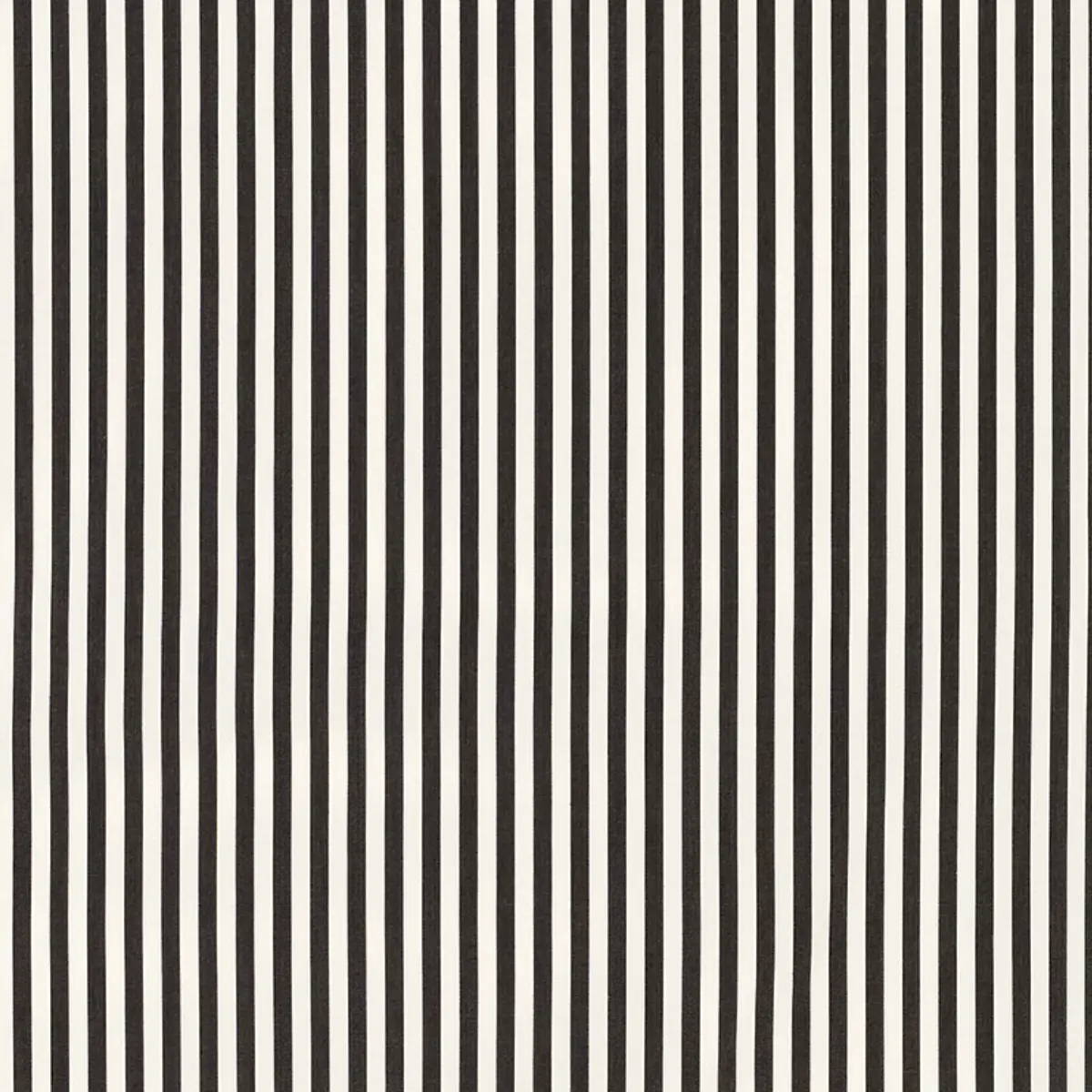 BRIGITTE STRIPE_ BLACK