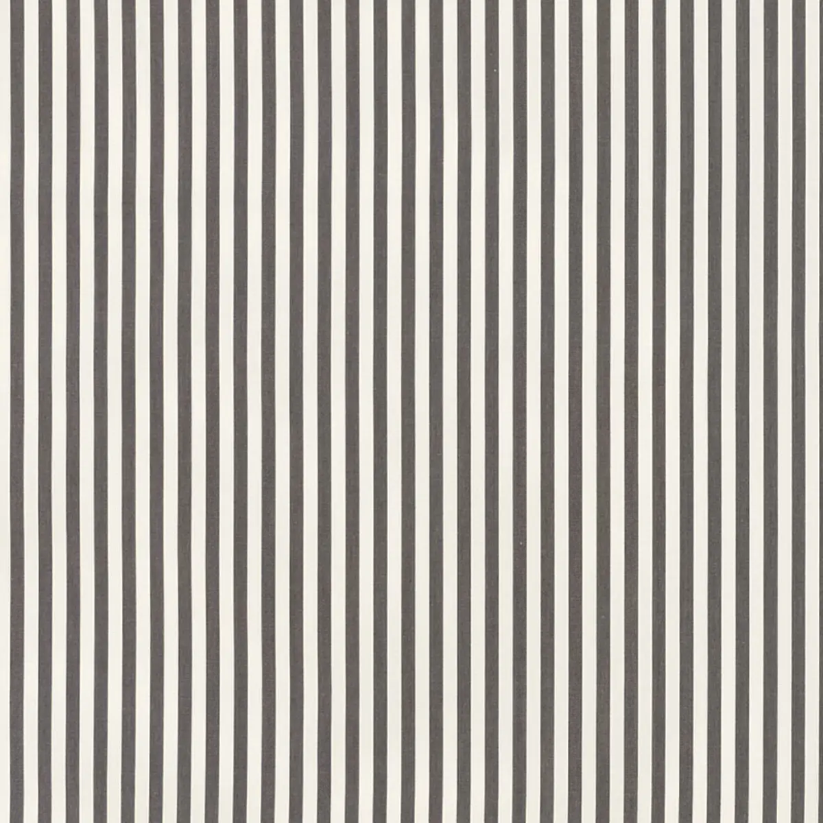 BRIGITTE STRIPE_ CHARCOAL