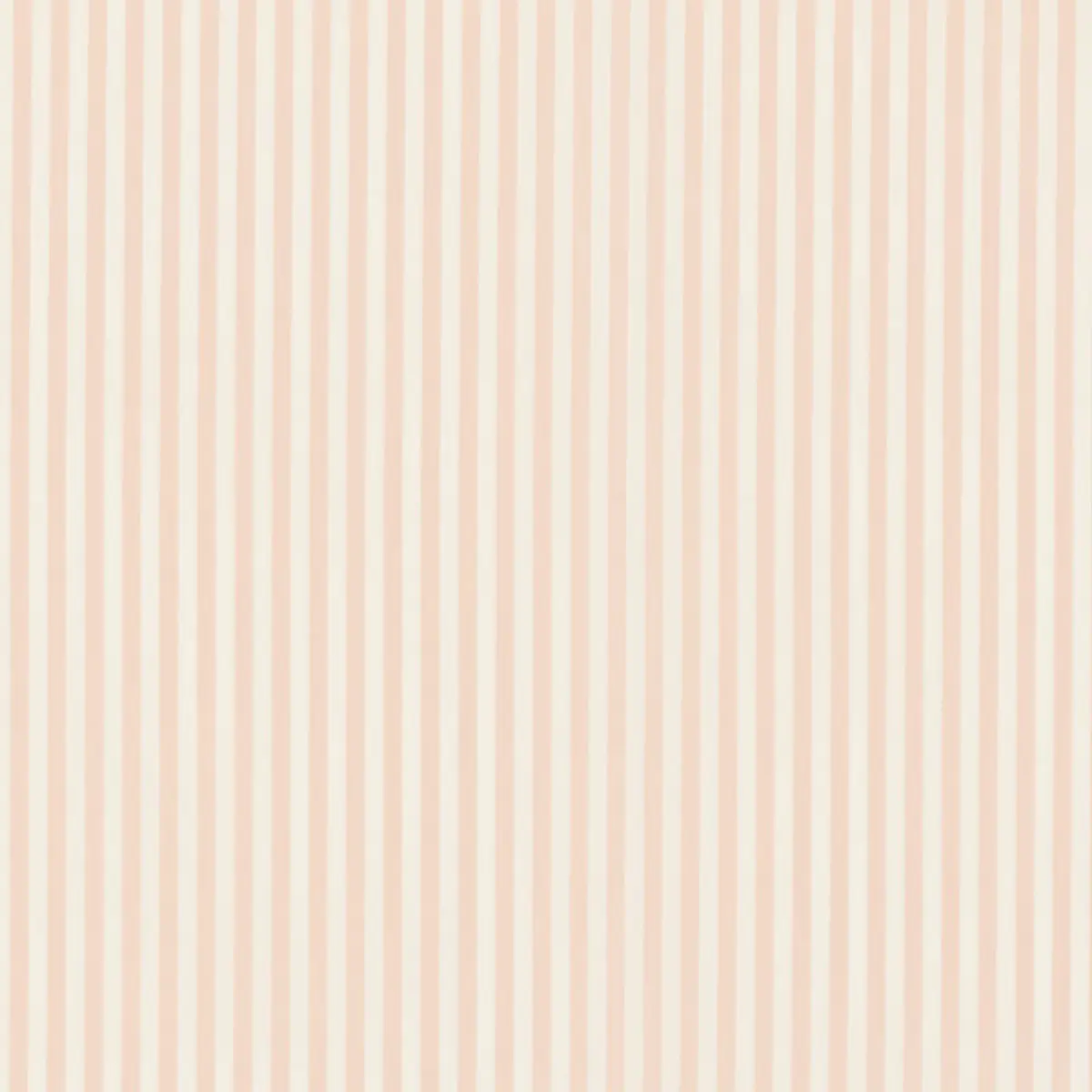BRIGITTE STRIPE_ BLUSH