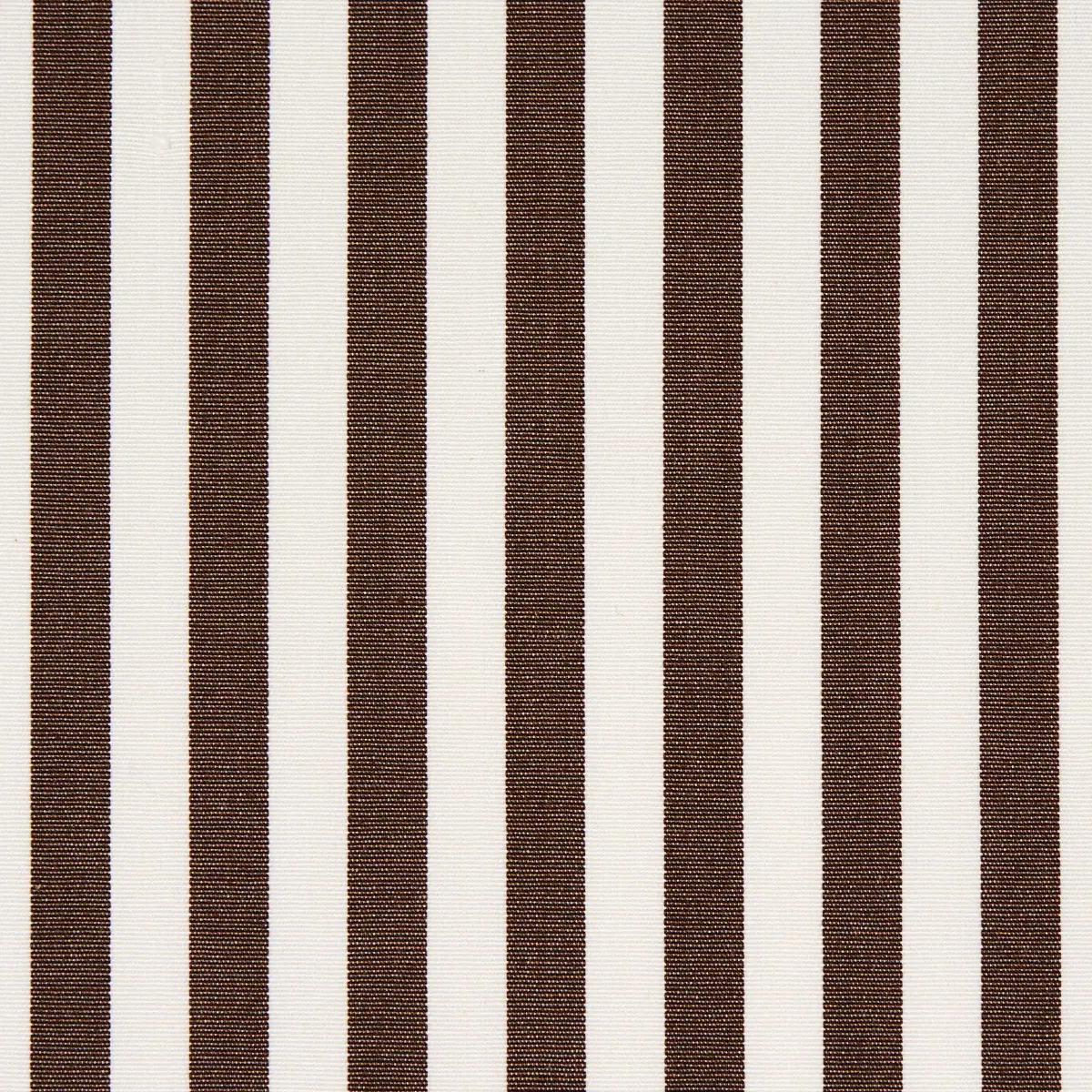BRIGITTE STRIPE_ BROWN