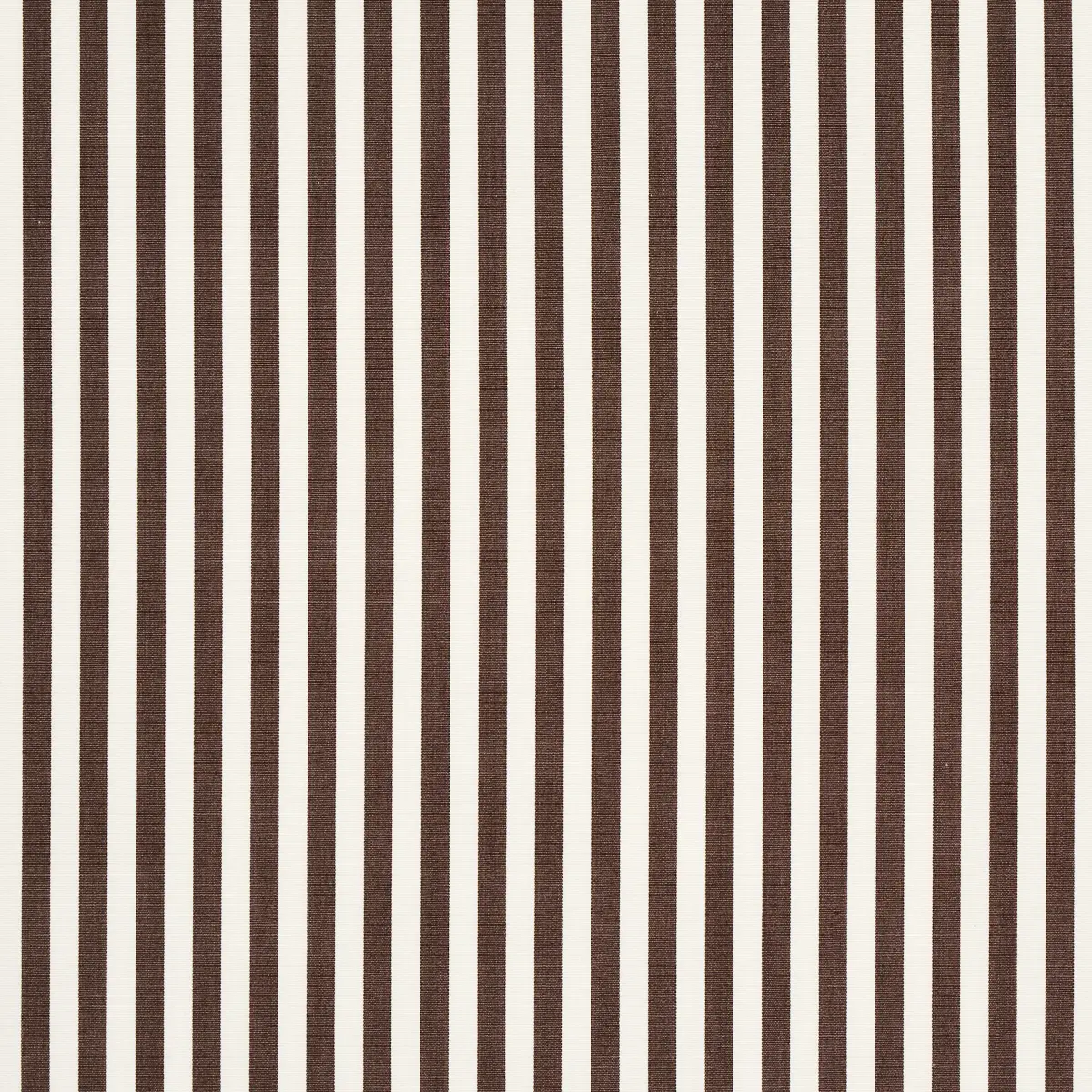 BRIGITTE STRIPE_ BROWN