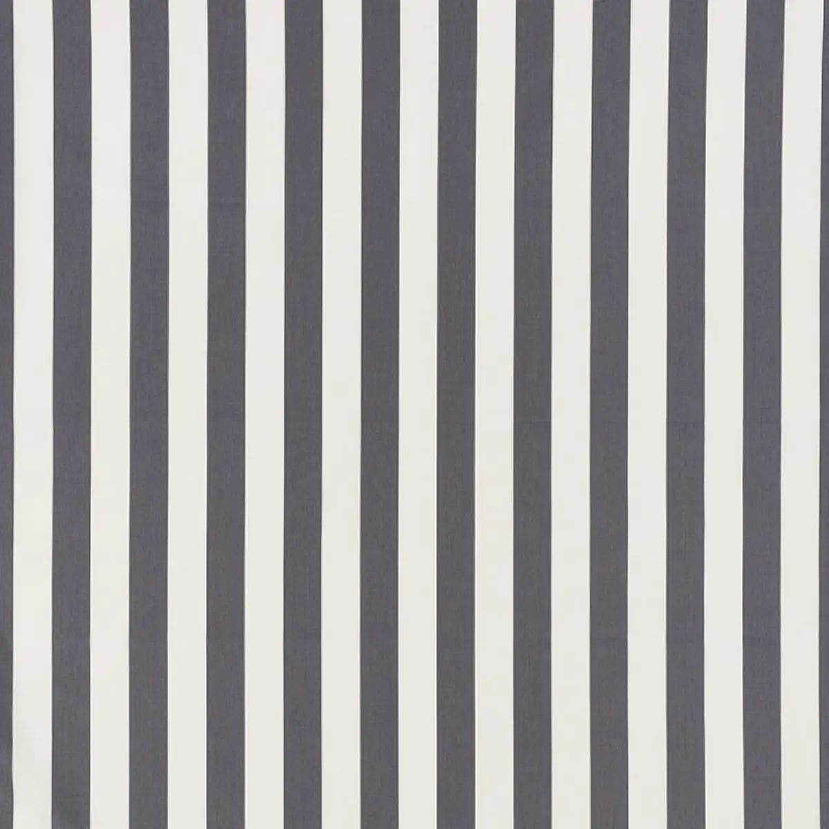 JAMES STRIPE_ CHARCOAL