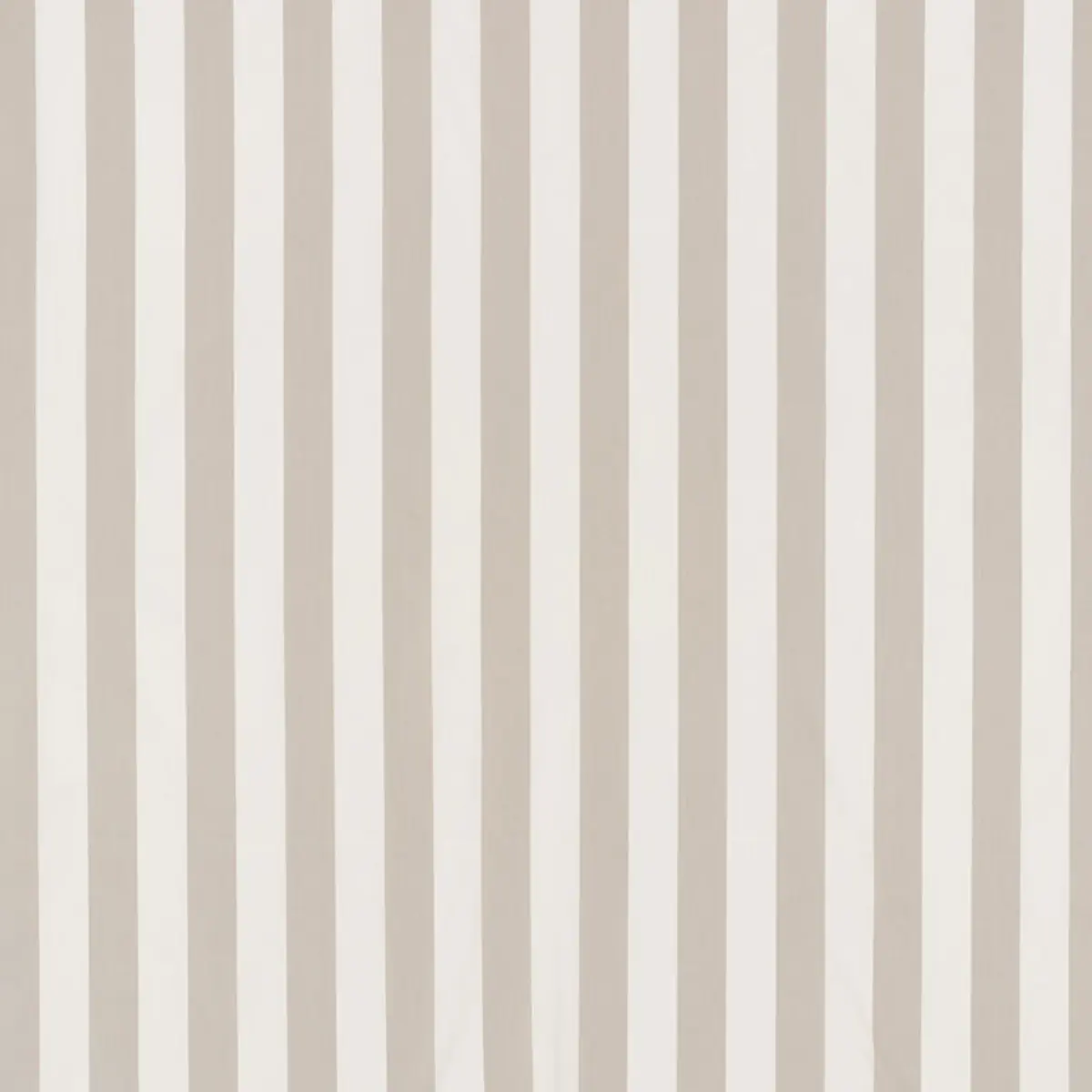 JAMES STRIPE_ TAUPE