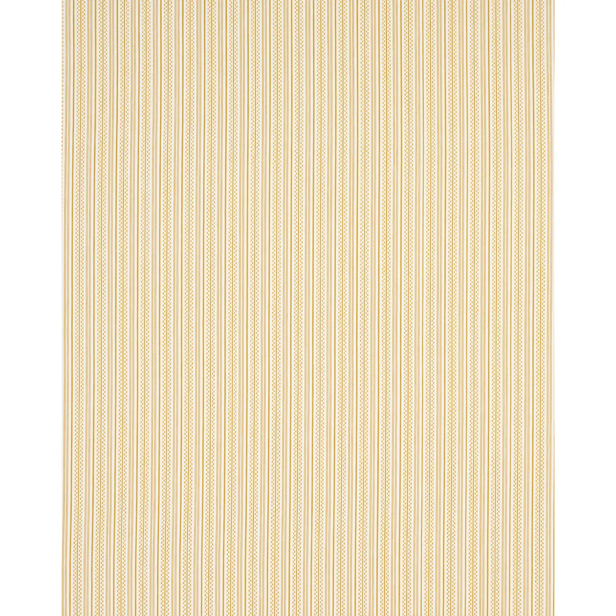 JACK STRIPE_ YELLOW