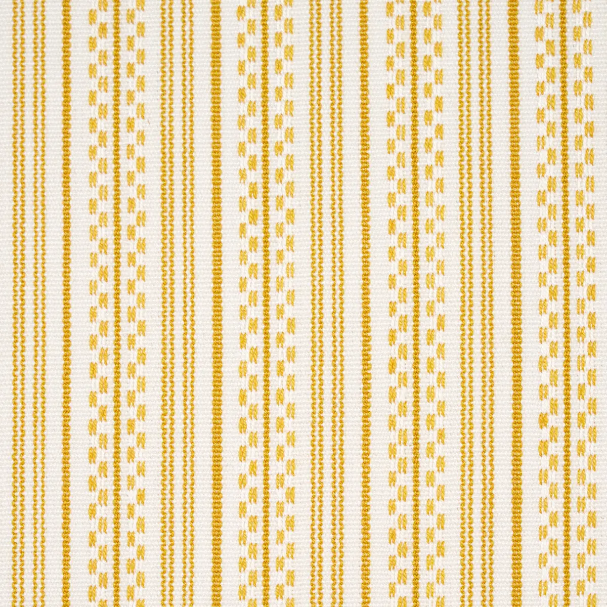 JACK STRIPE_ YELLOW