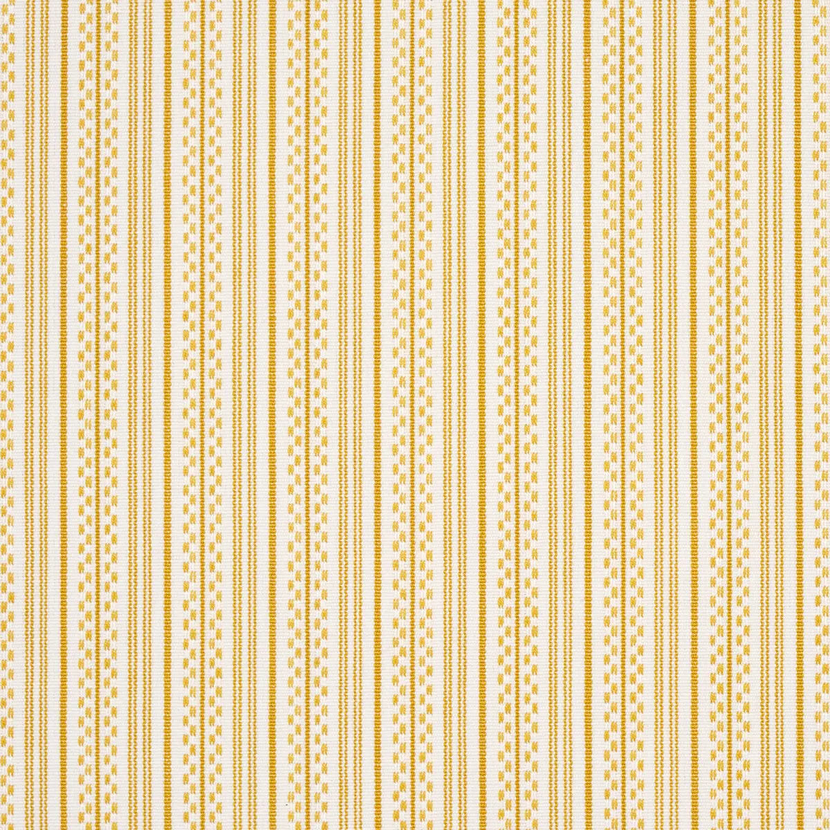 JACK STRIPE_ YELLOW