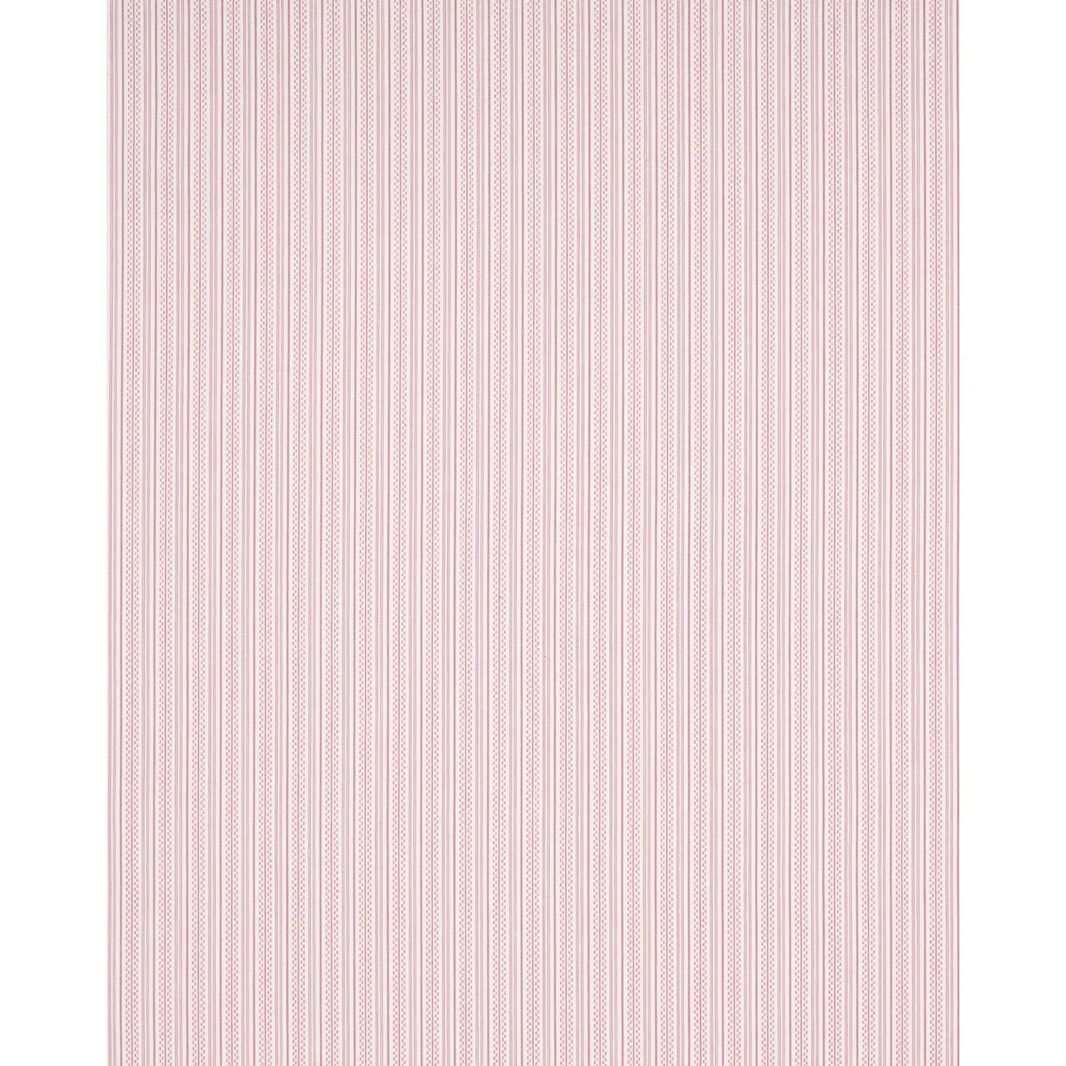 JACK STRIPE_ PINK