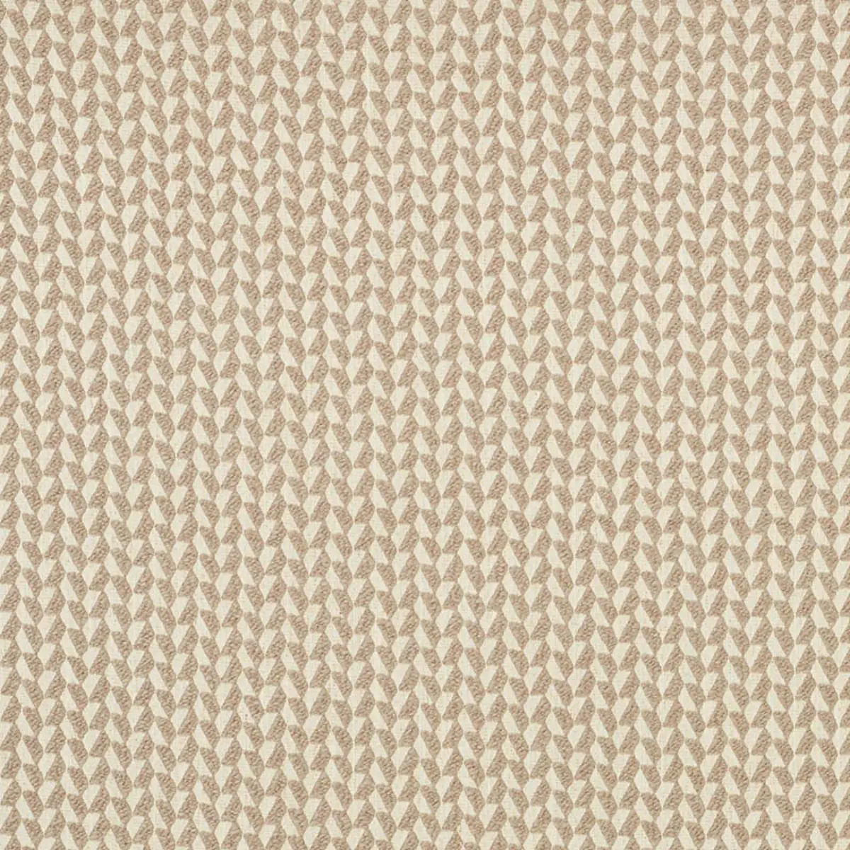 EMILE_ TAUPE